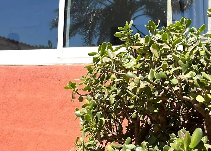 Apartment Leyda En